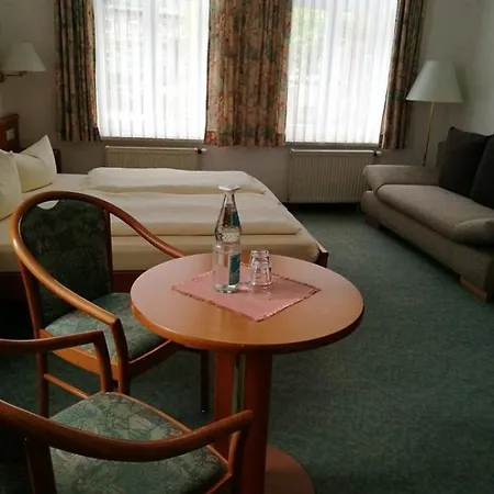 Hotel Hotel-pension Am Kurpark